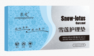 衷爱雪莲贴护理垫蓝盒2片装